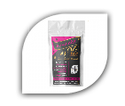 chien-chat-immunite-friandises-fonctionnelles-immune-treat